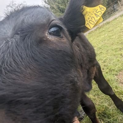 Tim32790069's profile picture. 