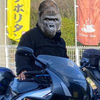 でこいさん (@dekoisan1) Twitter profile photo