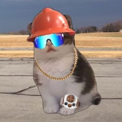 f0rest_ML's profile picture. hellew wold