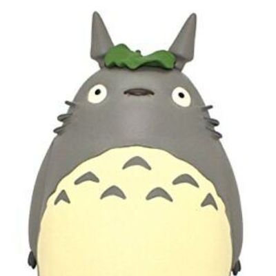 Defi Totoro