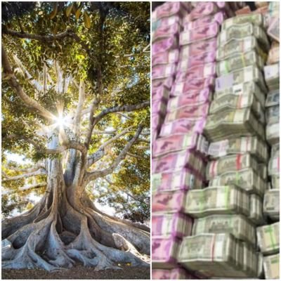 SimplyhealthDee's profile picture. follow for #astrology #numerology #lawofattraction #diettips #meditation tips. install app #kundalinishakti from play store
follow @astrodastro