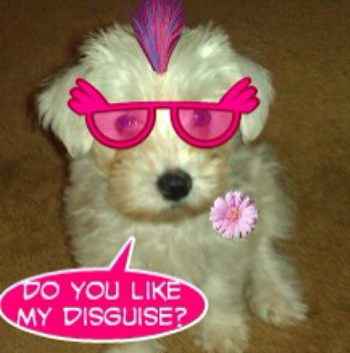 josmum18's profile picture. 