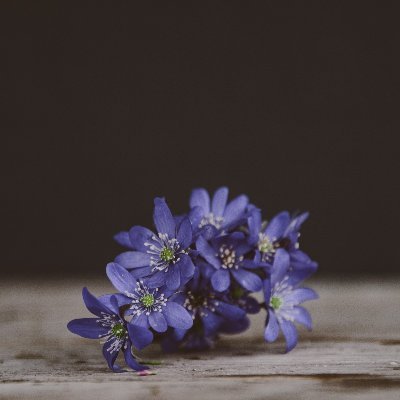 iamacryptoboy's profile picture. #Binance 注册币安：https://t.co/QGnre88AZ3
币安邀请码：X7U84TLG