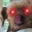 yeongong_ori's profile image