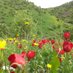 shahram mehrizadeh (@shahrammeh18634) Twitter profile photo shahram mehrizadeh (@shahrammeh18634) Twitter profile photo