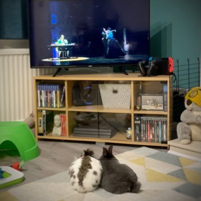 European. Sci-fi geek, Evertonian, Francophile, Esperantisto, Slytherclaw(?). But mostly I tweet pictures of bunnies... 🇪🇺🇫🇷🏴🐇