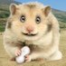 Patrick (@petsathomehull) Twitter profile photo Patrick (@petsathomehull) Twitter profile photo