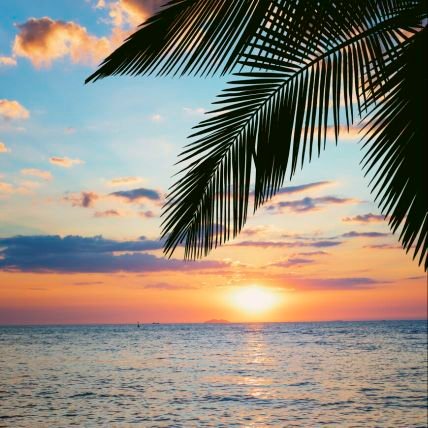 LHarp_4's profile picture. 