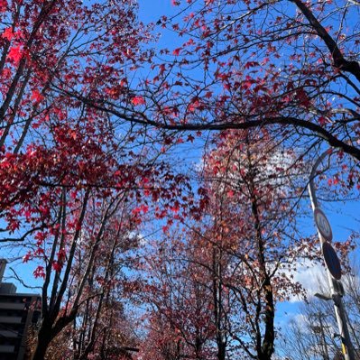 konimaru524's profile picture. 構造生物学/ D1