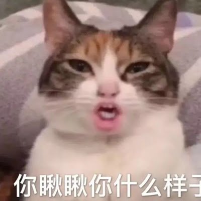 CheersOvO's profile picture. 