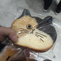 ウケ (@33dyeyhgpiplmpc) 's Twitter Profile