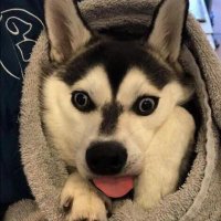 tonkhawᶻᶰ👑 (สำรอง1) (@kawaimtt) 's Twitter Profile