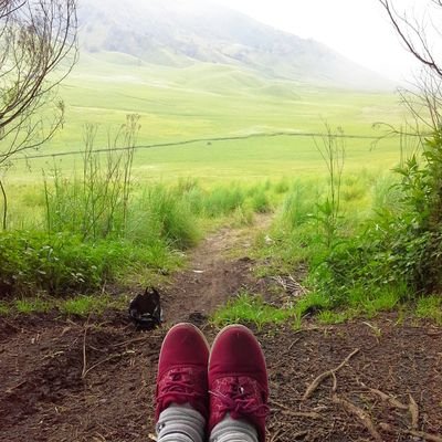 cuqiezee Profile Picture