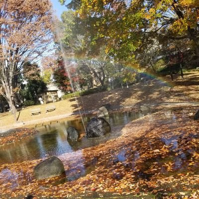 fistfuckchin's profile picture. 東京の山のホーです。