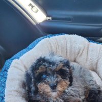 bestt1611 (@zamani71496677) 's Twitter Profile