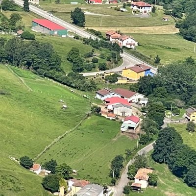 Obrero especializado de la Sanidad Pública, sector neurológico. Lo que queda, podrido, entre los restos. No compro en Amazon.