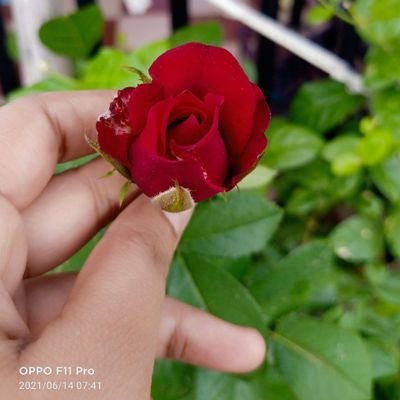 OnlyPRasad30's profile picture. 