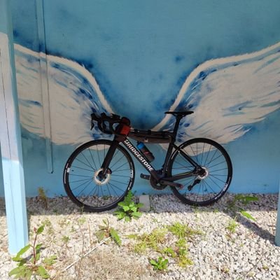 tourou's profile picture. ヒルクライマー

ロードバイク、登山、トレラン、クッキング、旅行が趣味。ここでは学術書を読み漁った内容を知ったかぶりして書いています
最近は動画を上げたりもしてます
https://t.co/MjQDAB2nBk
