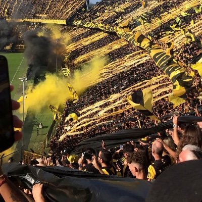 qiniq1975's profile picture. 