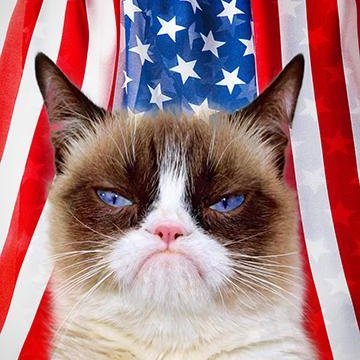 TheePolitiCat Profile Picture