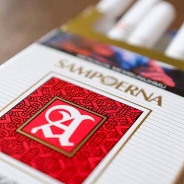 sampoerna__mild's profile picture. 