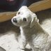 Jorge Olvera (@jorgeol72747218) Twitter profile photo Jorge Olvera (@jorgeol72747218) Twitter profile photo