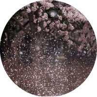 Ania (@ania__c) 's Twitter Profile