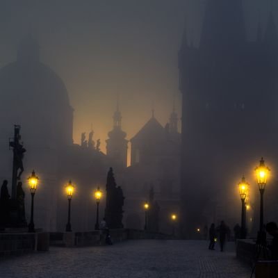 Hg9Bos2's profile picture. France. Geopolitics. Nature. Numismatics. Springsteen. Birds. History. Photography. Zweig. Oceans. Facts. Stade Rennais.