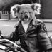leave this place (@arr) Twitter profile photo leave this place (@arr) Twitter profile photo