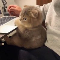 Tyson (@t_r_e_y_z) Twitter profile photo