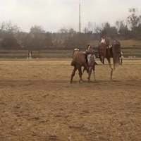 Kayla Reinhardt 🛸 (@kaylare48698457) 's Twitter Profile