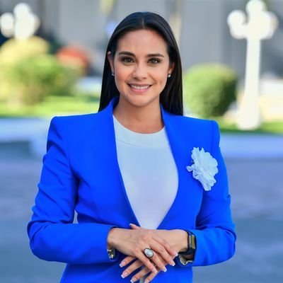 Diputada de la República de El Salvador: Comisión de Juventud y Deportes Comisión de la Mujer Comisión de la Familial Comisión de RREE