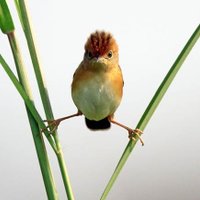 Susan Kelleher (@susankelleher) 's Twitter Profile Photo