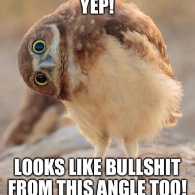 esdbigtoe's profile picture. 