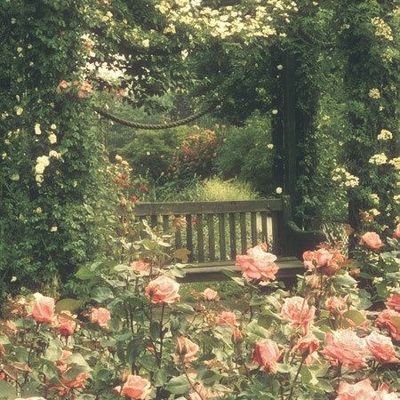 EdenOfHades's profile picture. They/Them, 18 🌺