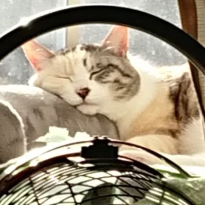 りまさんのプロフィール画像