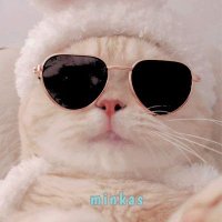 َ (@minnkas) 's Twitter Profile