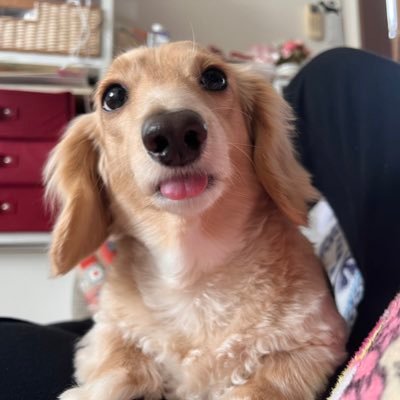 deepgame0909's profile picture. ps5でエペやってます✨