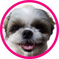 まるんWonderland (@marunwonderland) 's Twitter Profile Photo まるんWonderland (@marunwonderland) 's Twitter Profile Photo