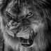 Ahmet kaba 19_05 (@ahmetkaba19_05) Twitter profile photo Ahmet kaba 19_05 (@ahmetkaba19_05) Twitter profile photo