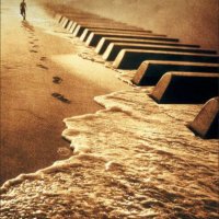 HeyRay (@heyray28259397) 's Twitter Profile