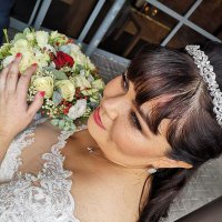 Sarah Quinn (Collins) (@collgins) 's Twitter Profile