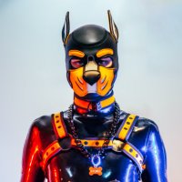 𝙆𝙮𝙪𝙧𝙤 🐾 (@pupkyuro) 's Twitter Profile