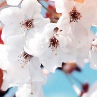 موج البحر 3 N.T.M.I.H (@deea77krbalae88) 's Twitter Profile Photo موج البحر 3 N.T.M.I.H (@deea77krbalae88) 's Twitter Profile Photo