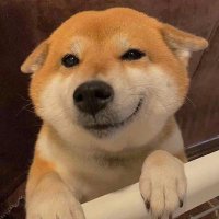 😉wink (@spacex181059) Twitter profile photo