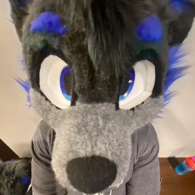 🦊 - 21 | 🪡 - Owner of CryptidStudios | 🧵- Fursuit Maker & 3D Print Artist