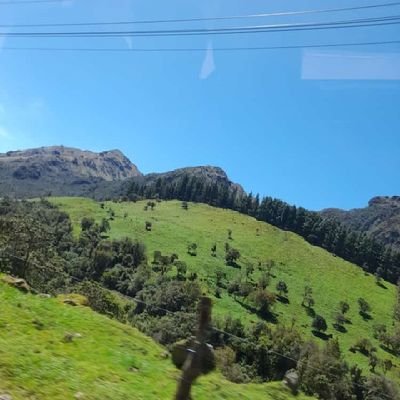 Mateo_seguro1's profile picture. Chabelo de ❤