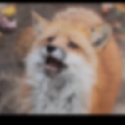 sato_sm_a8's profile picture. じゅんこやJKと呼ばれてるかもしれない人 コピバンしたりフェスライブが好きだったけど今は食事とお酒と育児です🙆‍♀️バスケもみるよ🏀