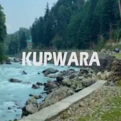 LoneGowher43472's profile picture. 