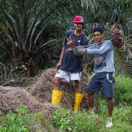 rsutti4's profile picture. 